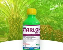 Starlon 655 EC 100ml