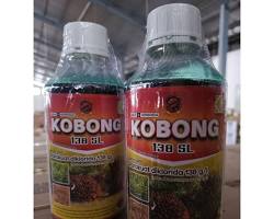 KOBONG 138 SL