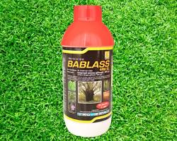 BABLAS 490 SL