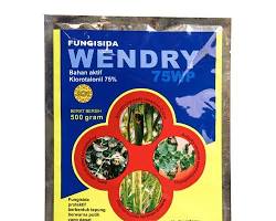 Wendry