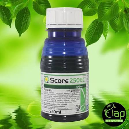 Score 250 EC 250ml